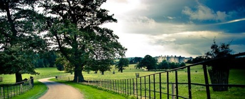 Wonderland : Creative Catalyst 19, ISO 200, 24mm, 1/1000 sec, F4.