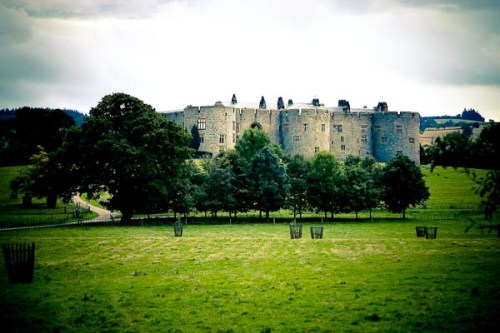 Wonderland : Creative Catalyst 19, ISO 200, 105mm, 1/500 sec, F4.