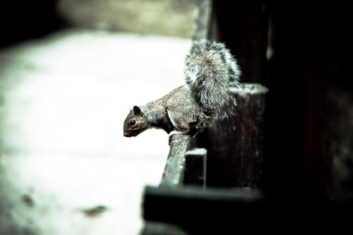 Wonderland : Creative Catalyst 15, ISO 640, 200mm, 1/200 sec, F2.8.