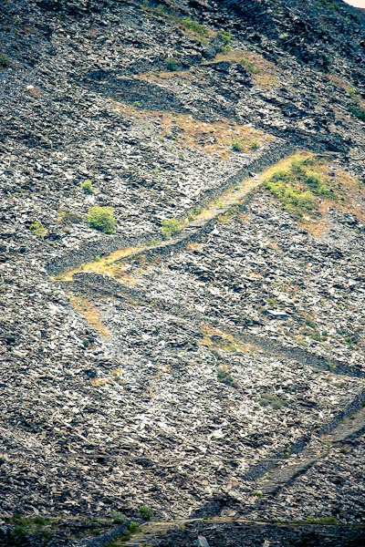 Wonderland : Creative Catalyst 19, ISO 200, 195mm, 1/200 sec, F5.