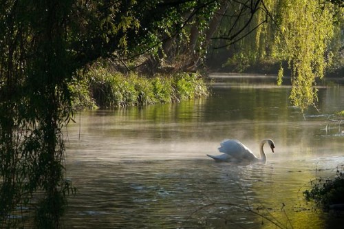 Okay not quite a landscape, but