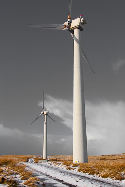 Another photograph of the windmills close up...