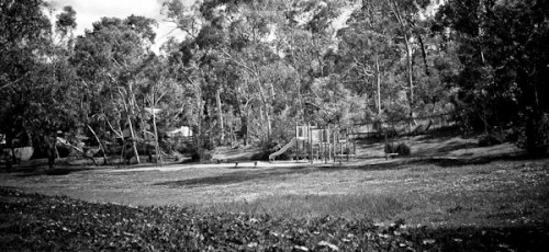 A playground area in the open spaces amongst the trees. Perhaps not visible in this shot, but there are homes within the trees also...