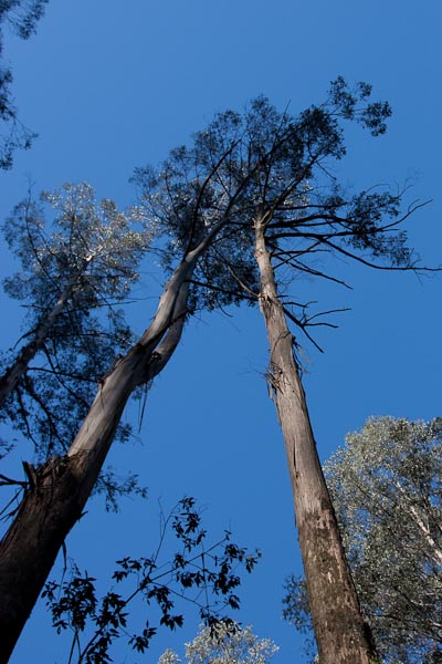 Here is the original frame from the camera. Notice how blue the sky is!! The skies here are really blue!
