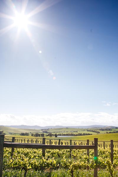 I placed the sun in the top left corner deliberately in this frame.