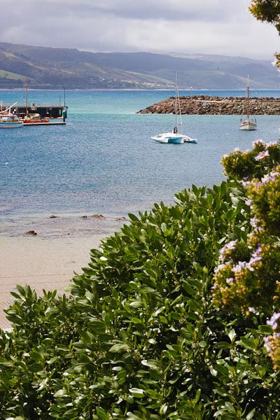 IMG_8432 Okay I can't resist... one more frame from Apollo Bay.