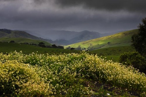 IMG_8477 We drove a little out of Apollo Bay and I grabbed this stormy shot.