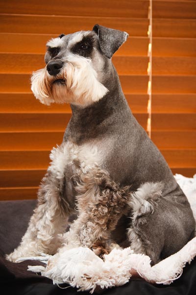 The photo used flash firing wide open into the ceiling about 8-10 feet away.