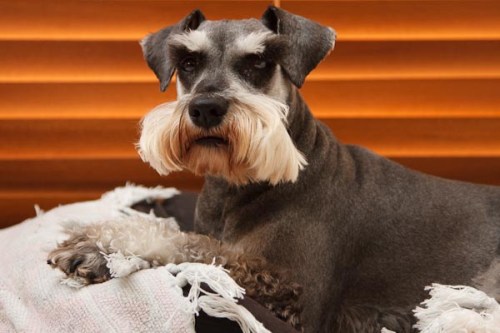 ISO 640, 1/60 sec, F4, Manual mode.