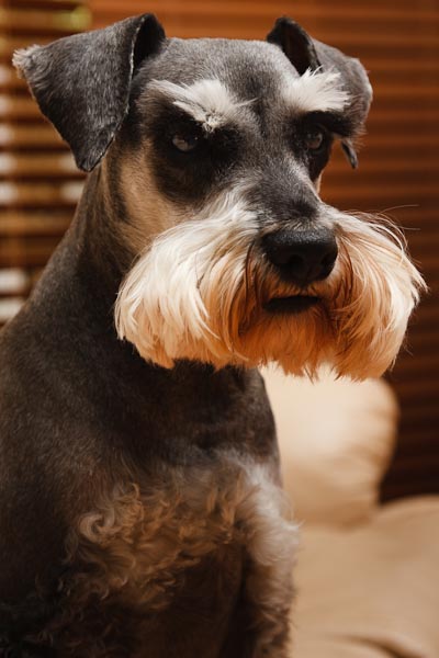 ISO 200, 1/100 sec, F5.6, Manual mode.