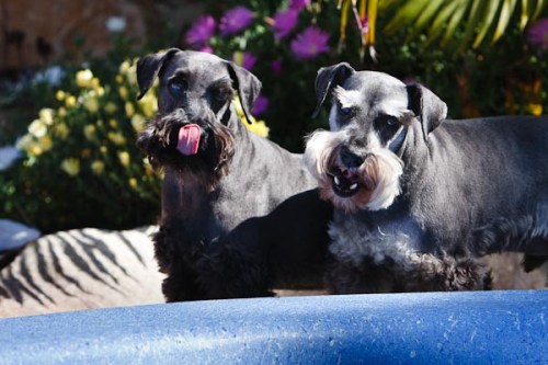 Ooo... look at that photographer.. yum! ;-)