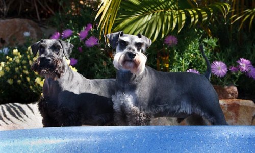 ISO 200, 1/500 sec, F4.5, 80mm, Aperture Priority.