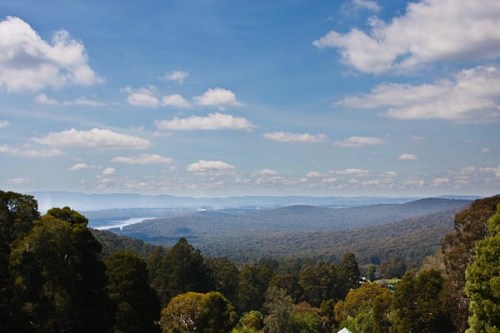 Notice all the trees in the distance!